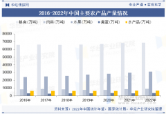2025年中国 